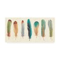 Trademark Fine Art Daphne Brissonnet 'Feather Tales VII' Canvas Art, 12x24 WAP12205-C1224GG